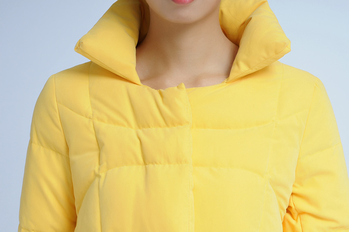 女裝時(shí)尚羽絨服（時(shí)尚羽絨服8409）/