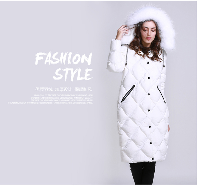 R1698#_02.jpg/