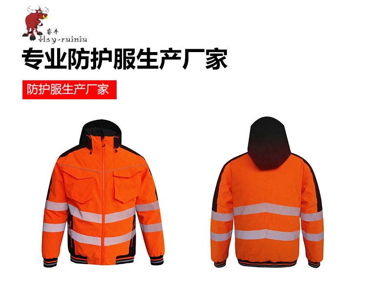 RNAQ-31_01.jpg/